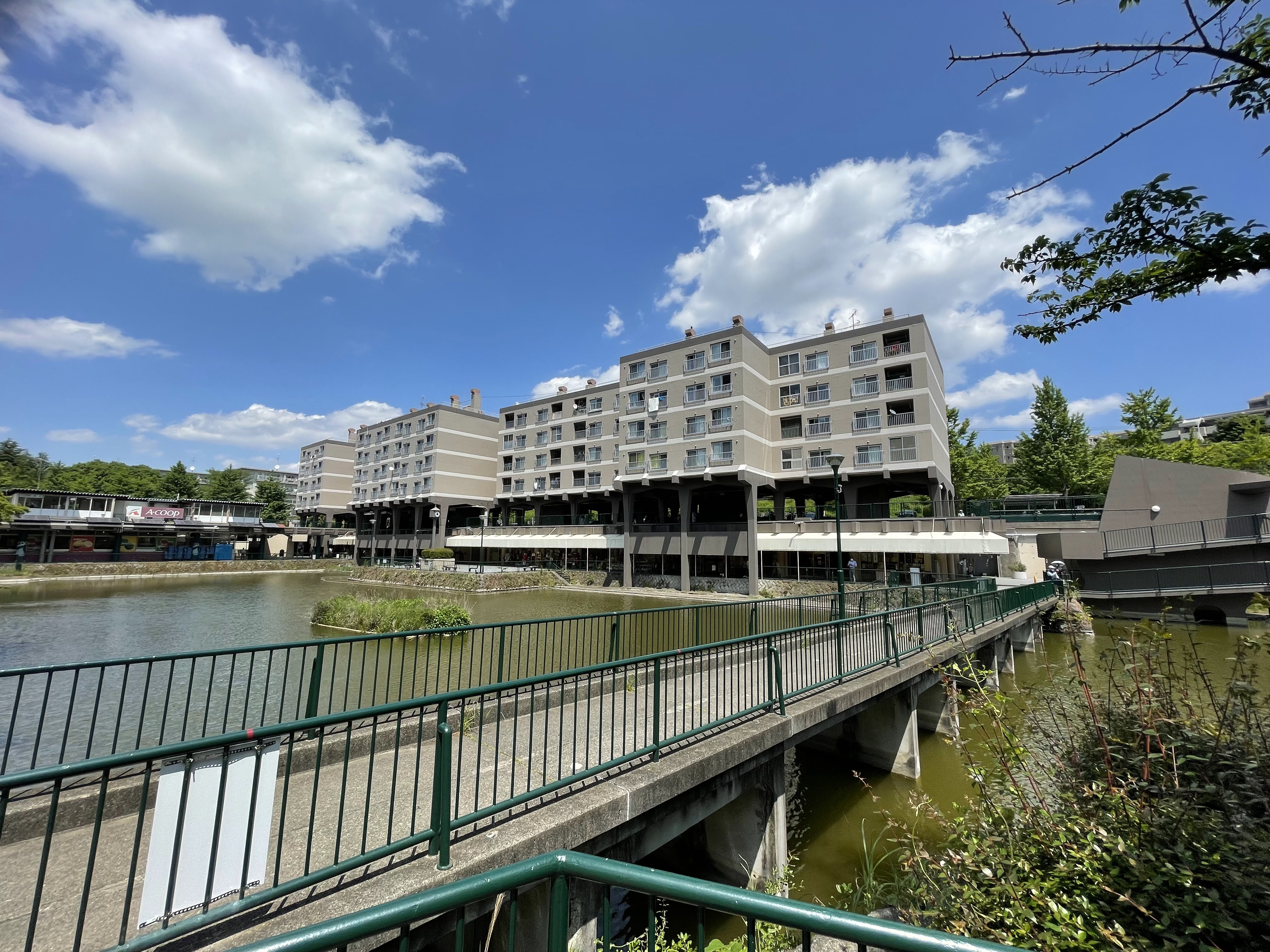 団地の自然を譲りわたす——竹山団地 | 戦後を譲りわたす——日本の「モダン・ムーブメント」建築史 岸佑 | web春秋 はるとあき