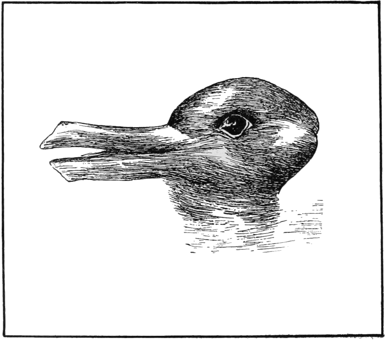 図1(https://commons.wikimedia.org/wiki/File:PSM_V54_D328_Optical_illusion_of_a_duck_or_a_rabbit_head.png)