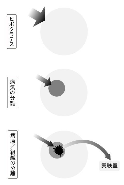 人体を戦場にして」――近代医学の扉絵 | 疫病論 西谷修 | web春秋 はる